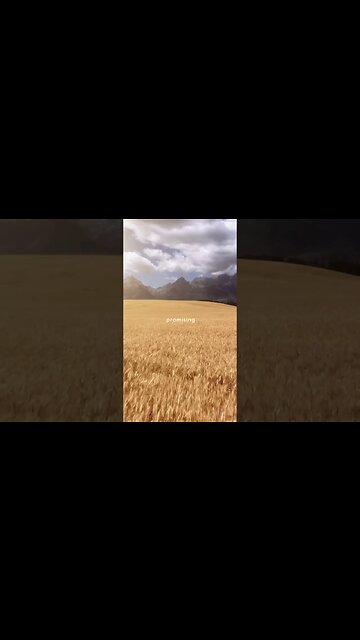 Find True Rest in Jesus