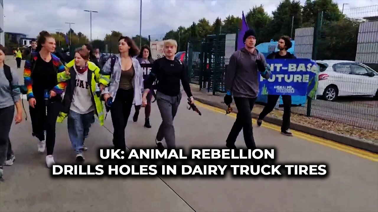 UK: Animal Rebellion drills holes in dairy truck tires