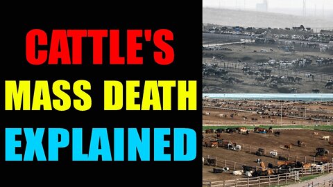 BIG ALARM!! SHOCKING RARE EVIDENCE JUST RELEASED OF TODAY AUG 8, 2022