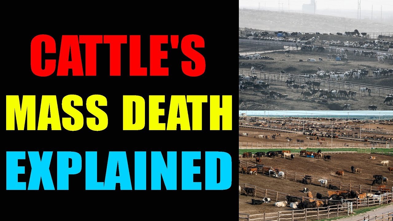 BIG ALARM!! SHOCKING RARE EVIDENCE JUST RELEASED OF TODAY AUG 8, 2022