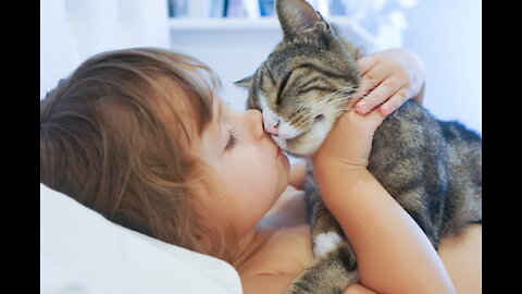 See how the cat caresses and kisses the little one