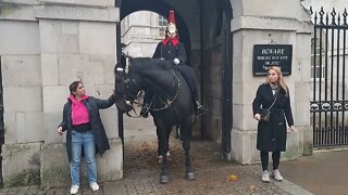 Horse's smell fear #horseguardsparade