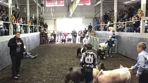 2022 BWF Hog Show 2