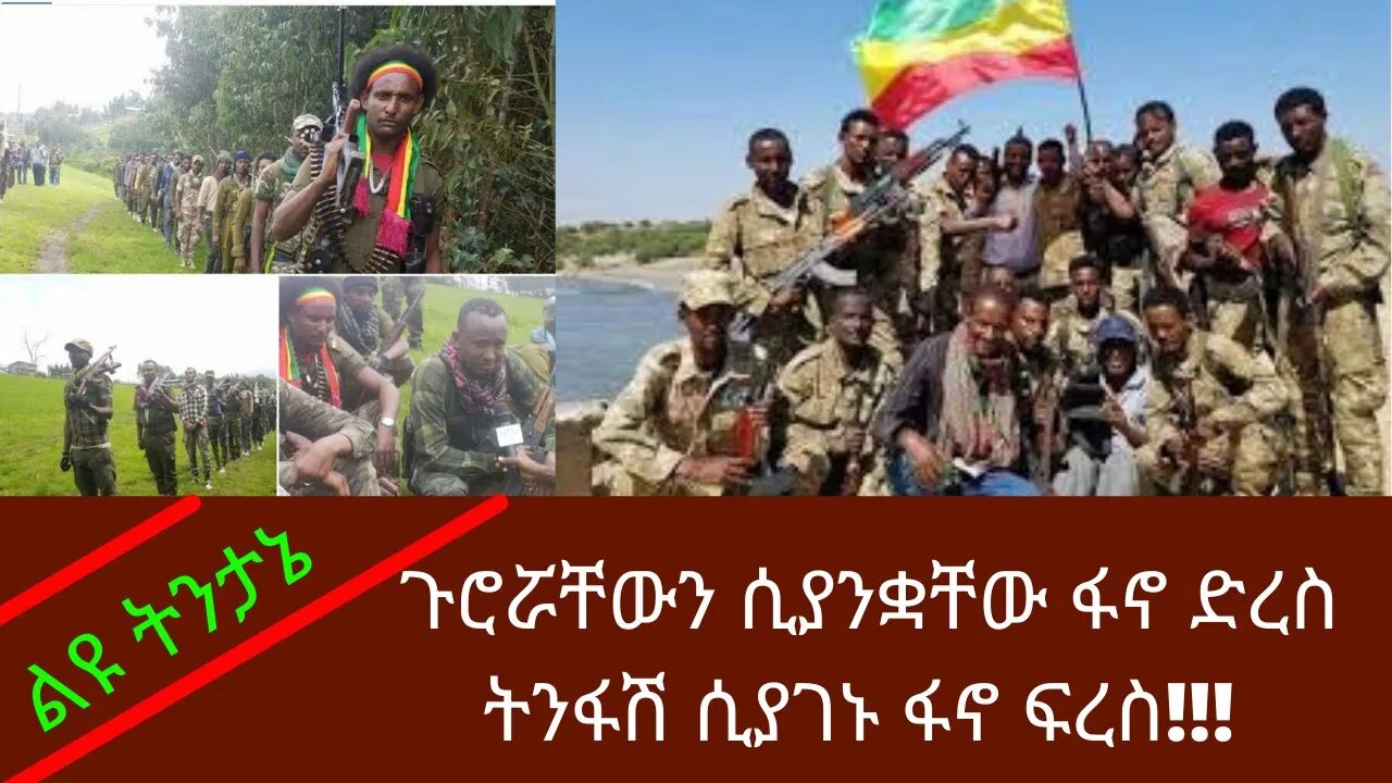 Ethiopia: ሰበር| ጉሮሯቸውን ሲያንቋቸው ፋኖ ድረስ ትንፋሽ ሲያገኑ ፋኖ ፍረስ!!! | ልዩ ትንታኔ | Zehabesha | top mereja