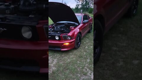 Mustang No Budlight Here #budlight