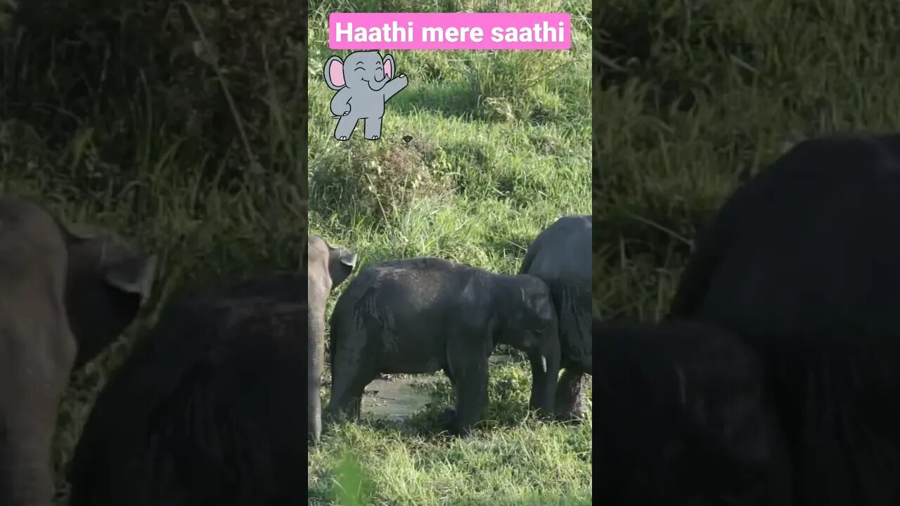 Haathi mere Saathi l wodworking art skill l @souravjoshivlogs7028 @MRINDIANHACKER l #shorts