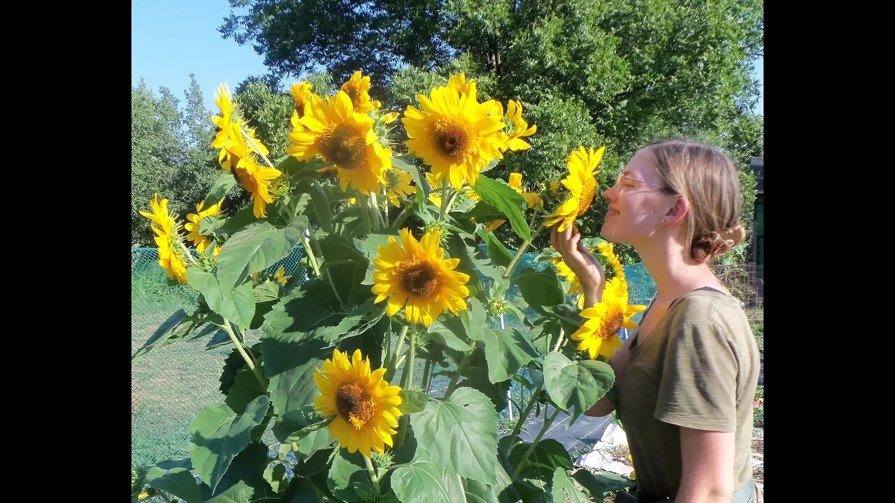 What's Growing in JUNE on our Large Family Homestead?