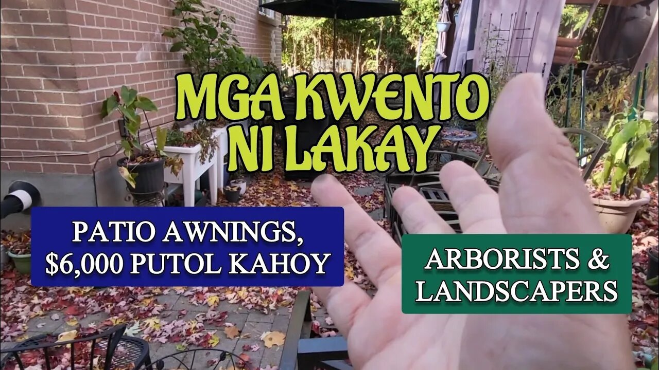 Patio Awning | Bagyo vs 40 Foot Maple Tree at Anim na Libong Dolyar na Bayad ?