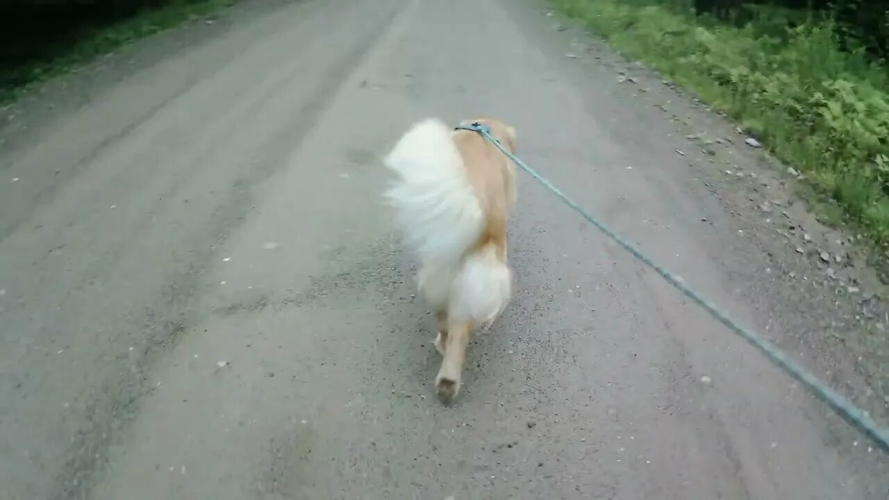 Foggy July 16th, rain coming around 10