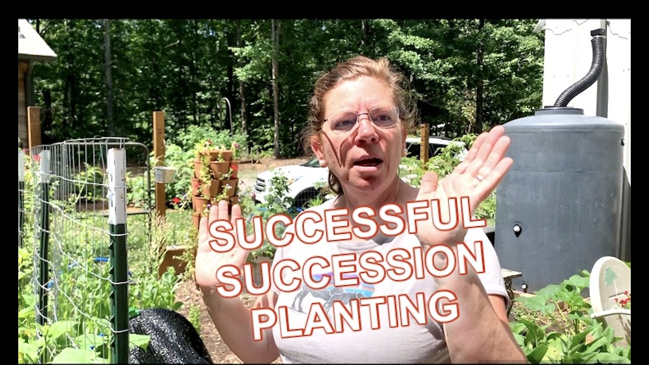 Our Successful Succession Planting