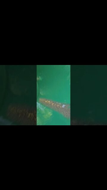 Better than video games. #findinggold