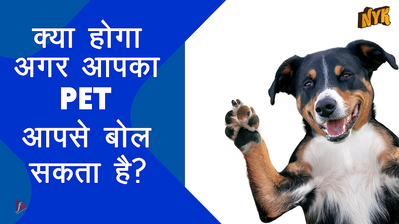 क्या होता अगर आपका pet बोल सकता ? *