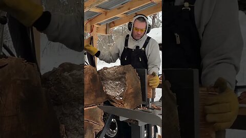 Slicing and Dicing Red Oak #shorts #firewood #fyp