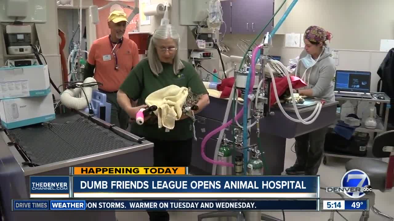 Dumb Friends League opening its 1st animal hospital