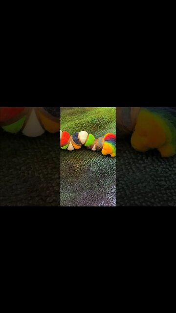 King Rainbow Mandalas (Tie Dye) #shorts