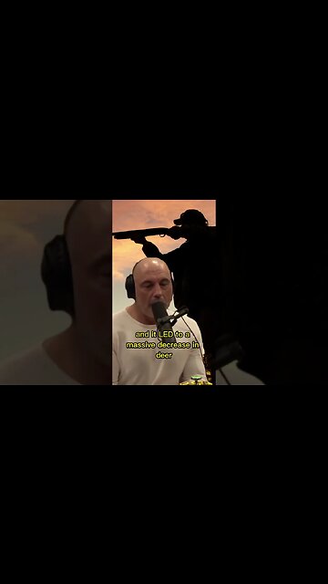 Joe Rogan about hunting - Andrew Huberman #shorts