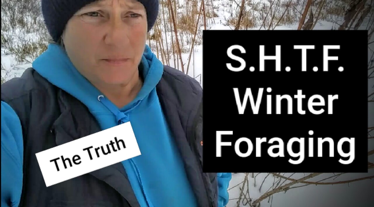 SHTF Winter Foraging Survival THE TRUTH