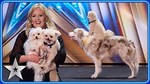 Every PAWformance from dancing dogs The Trickstars _ Britain s Got Talent