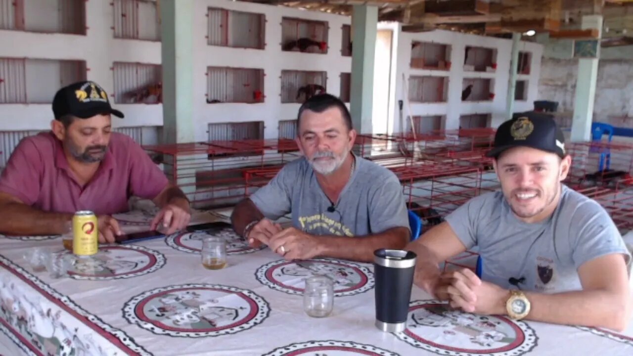 CONVERSA COM CARLINHOS DE POÇO VERDE E CARLOS DA ARENA MATO VERDE (PAPO DE GALISTA)