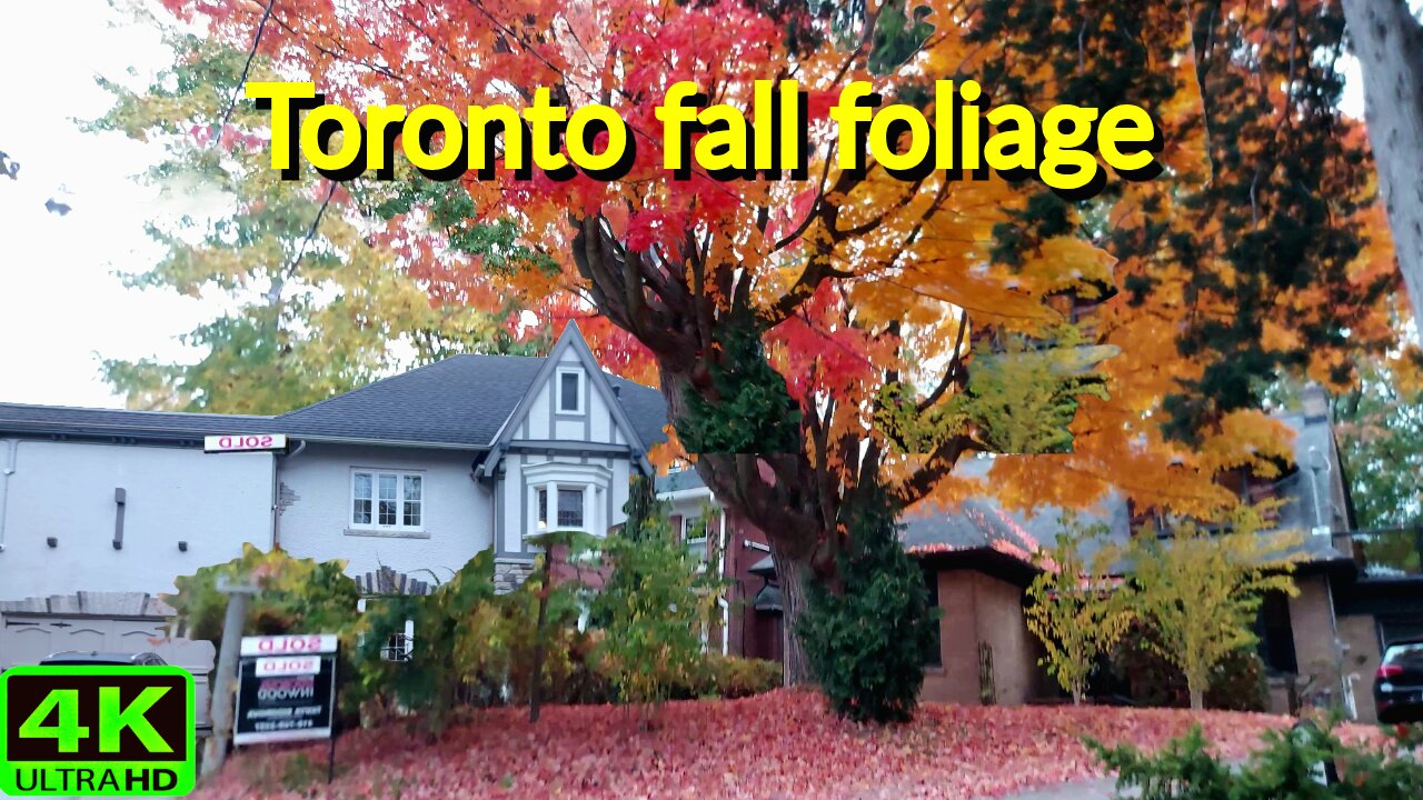 【4K】Toronto fall foliage colors & landscapes 🍁 Canada 🇨🇦