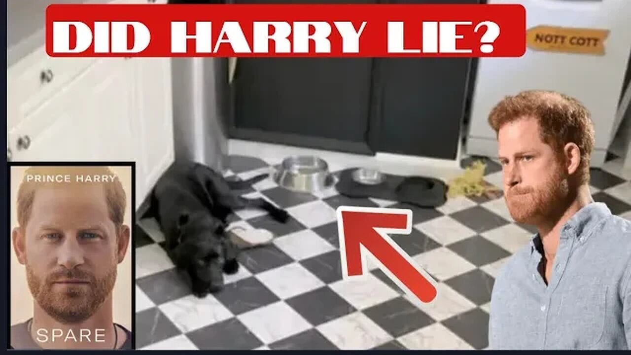 The alleged fight! Is Harry’s version the actual truth? #therapist view