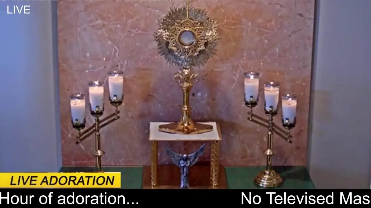We offer this Holy Hour