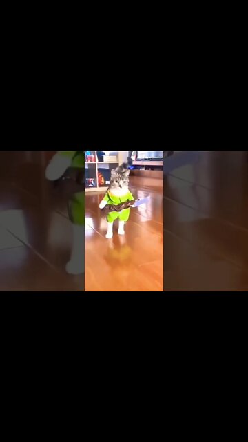 Michael Meowers...🐈🔪👻😅 #shorts