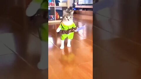 Michael Meowers...🐈🔪👻😅 #shorts