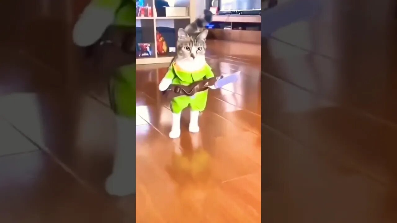 Michael Meowers...🐈🔪👻😅 #shorts