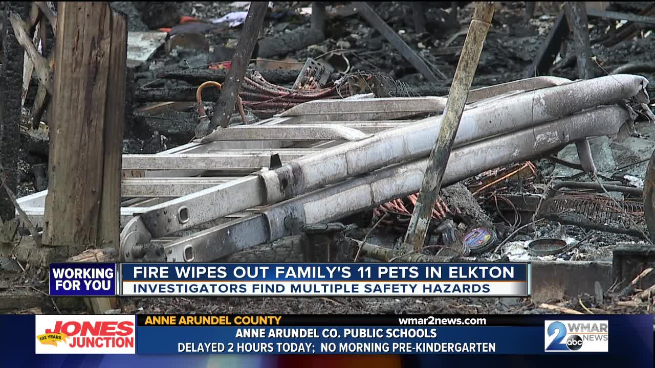 Fire wipes out family's 11 pets in Elkton