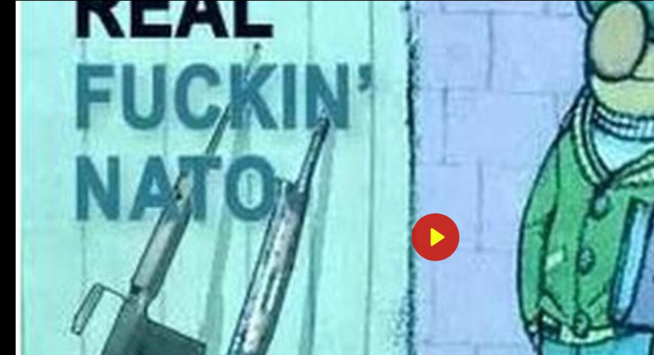 REAL FUCKING NATO