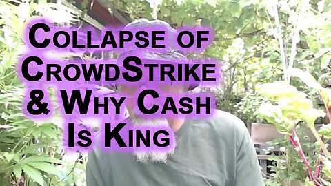 Collapse of CrowdStrike, Example of How Centralized Power Is Extremely Dangerous & Why Cash Is King