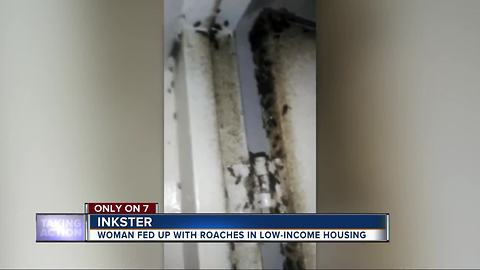 Mother, children left to deal with cockroach infestation at Inkster housing unit