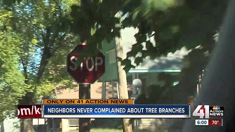 Trees cover stop sign at scene of deadly wreck