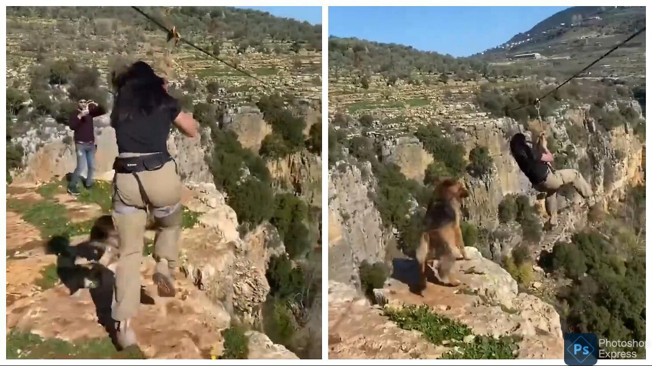 That dog needs a new owner