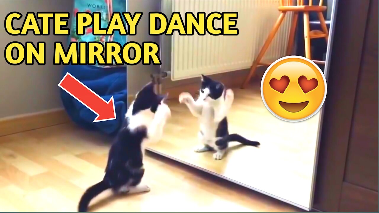 Cate Play Funny Dance On The Mirror