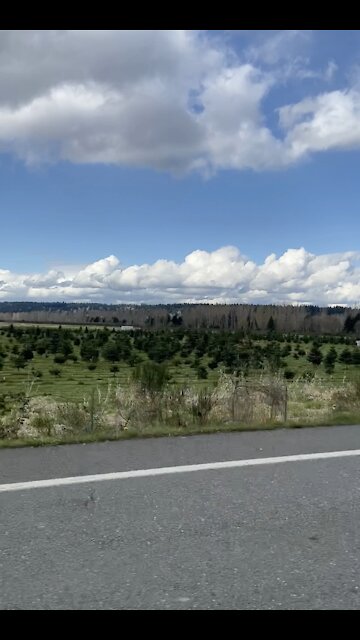 I love the beauty here but ...