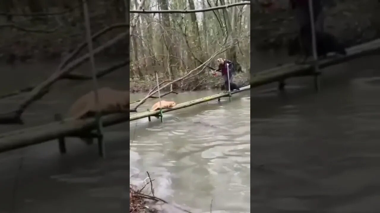 Coming Through