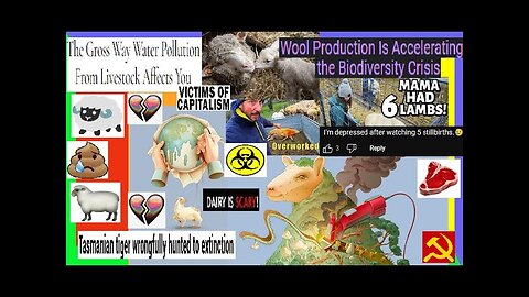 The Sheep & Wool Industry Files (DEEP-DIVE) Capitalism, Mutton Busting, True Crime