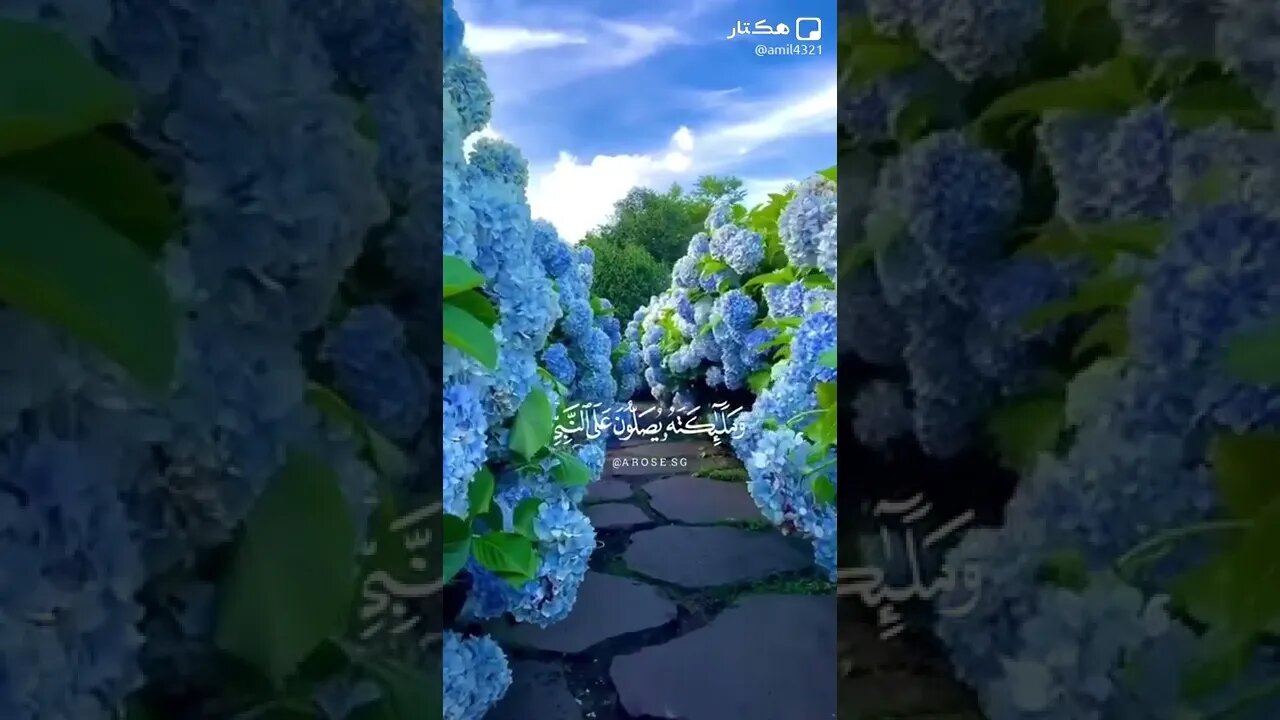 ٤ نوفمبر، ٢٠٢٢