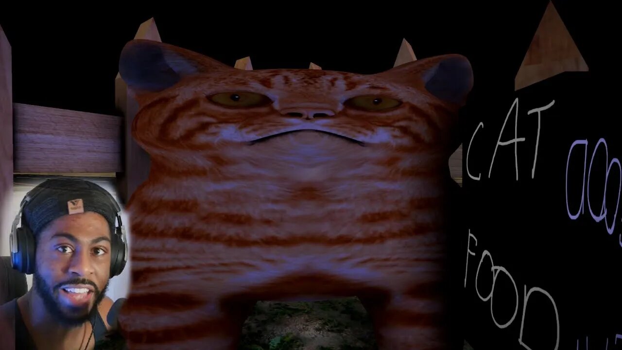 How To Be A Bad Cat Owner | Feed Your Cat.