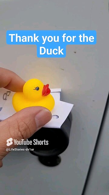 ✨️I've been Ducked again. Thank You!✨️