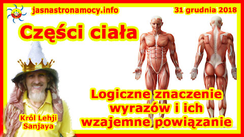 Części ciała - Logiczne znaczenie wyrazów i ich wzajemne powiązanie