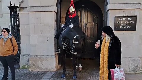 Horse goes for the back of the head #horseguardsparade