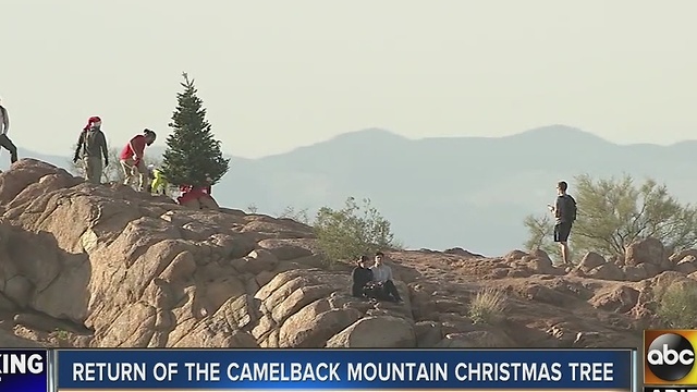 Christmas tree replaced at top of Camelback Mountain