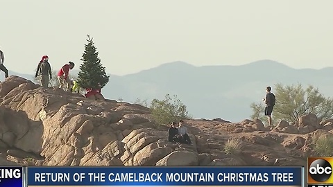 Christmas tree replaced at top of Camelback Mountain