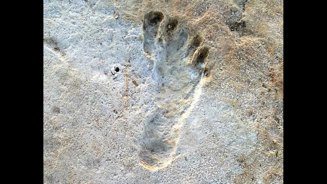 Oldest Fossil Human Footprints in North America Part 2