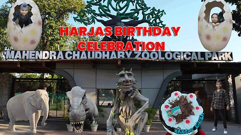 Harjas's Birthday Celebration at Chattbir Zoo 🎉🦁 | Fun, Animals, and Family Moments | Family Time