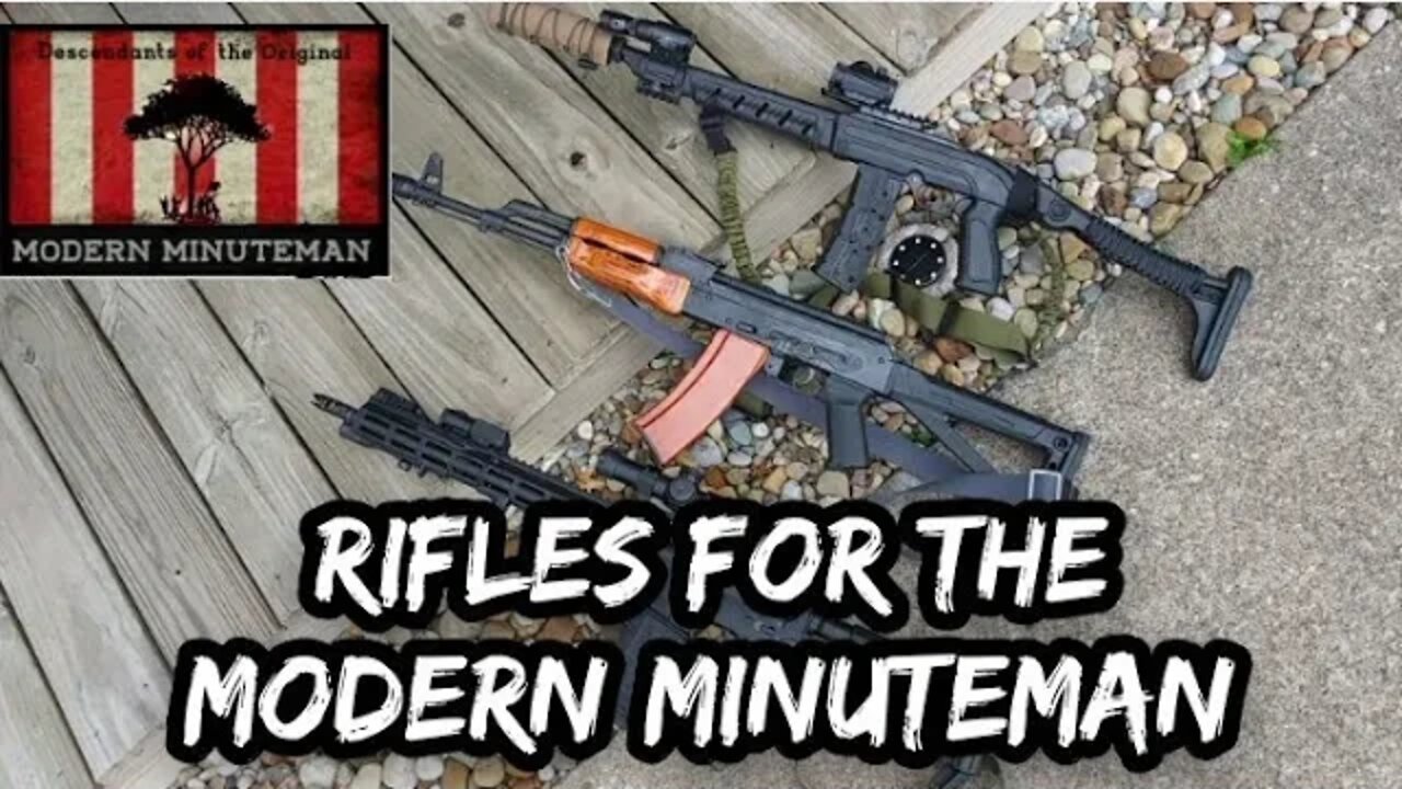 Rifles for the Modern Minuteman