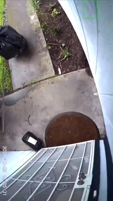 Thief in Socal dressed up in garage bag to steal package from doorstep.